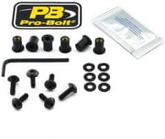 PRO BOLT SCR KIT SCREEN 6 BLK SK6BK