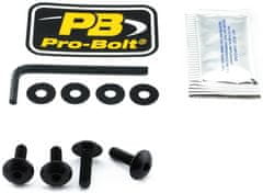 PRO BOLT SCR KIT SCREEN 4 BLK SK110BK