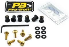 PRO BOLT SCR KIT SCREEN 6 GD SK6G