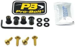 PRO BOLT SCR KIT SCREEN 4 GD SK4G