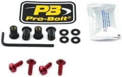 PRO BOLT SCR KIT SCREEN 4 RD SK4R