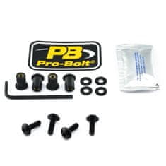 PRO BOLT SCR KIT SCREEN 4 BLK SK4BK