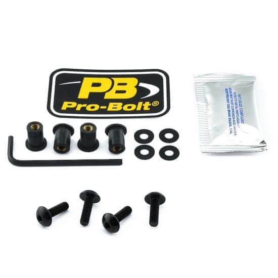 PRO BOLT SCR KIT SCREEN 4 BLK SK4BK