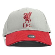 Fan-shop Kšiltovka LIVERPOOL FC Mass Two Tone grey