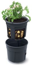 Prosperplast Květináč na pěstování brambor POTATO GROWER antracit 29,5cm PRIZIE300-S433