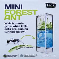 T.A.O.S. T.A.O.S. Forest Ant Mini Antquarium