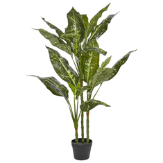 shumee Umělá rostlina DIEFFENBACHIA 110 cm