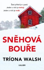 Walsh Tríona: Sněhová bouře