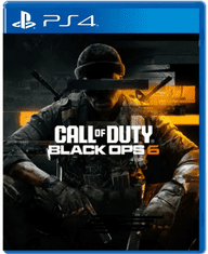 Call of Duty: Black Ops 6 (PS4)