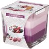 Bispol Vonná svíčka tříbarevná ve skle frozen berries 170 g