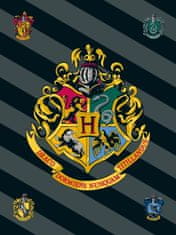 Jerry Fabrics Fleece deka Harry Potter HP067 Polyester, 100/150 cm