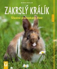 Zakrslý králík: Šťastně prohopkaný život - Jak na to