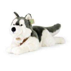 Rappa Plyšový pes husky s postrojem ležící 60 cm ECO-FRIENDLY