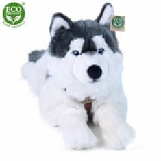 Rappa Plyšový pes husky s postrojem ležící 60 cm ECO-FRIENDLY