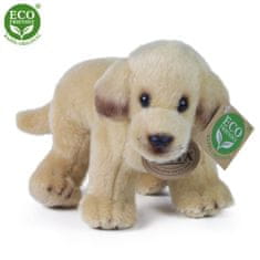 Plyšový labrador stojící 20 cm ECO-FRIENDLY