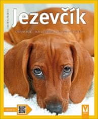 Jezevčík - Jak na to