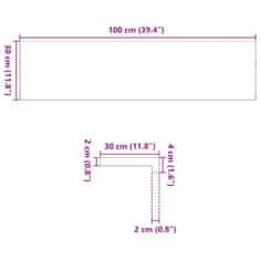 Vidaxl Nášlapy na schody 12 ks světle hnědé 100x30x2 cm masivní dub