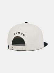 Under Armour Pánská kšiltovka M Curry Flatbrim Snapback UNI