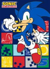 FARO Textil Dětská fleecová deka Polar JEŽEK SONIC 100x140 cm modrá