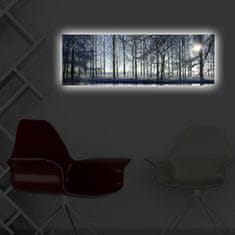 Wallity Obraz s LED osvětlením ZIMNÍ KRAJINA 37 30 x 90 cm