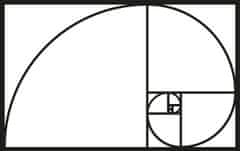 Wallity Nástěnná kovová dekorace GOLDEN RATIO černá