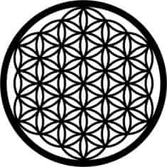 Wallity Nástěnná kovová dekorace FLOWER OF LIFE černá