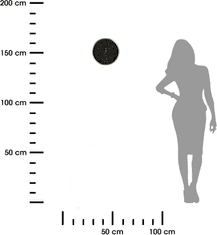 Dekorstyle Nástěnné hodiny GOLACK 25 cm černé/zlaté