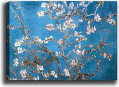 Wallity Obraz BLOSSOM 70 x 100 cm