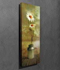 Wallity Obraz na plátně Daisy dream PC164 30x80 cm