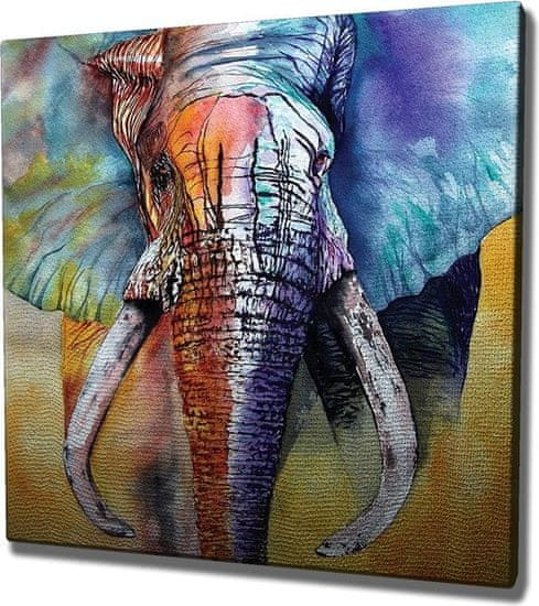 Wallity Obraz na plátně Elephant ethno KC306 50x70 cm