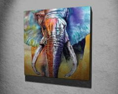 Wallity Obraz na plátně Elephant ethno KC306 50x70 cm