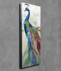 Wallity Obraz na plátně Peacock PC118 30x80 cm