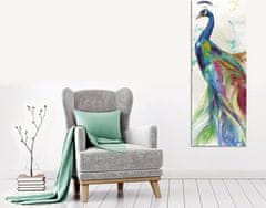 Wallity Obraz na plátně Peacock PC118 30x80 cm