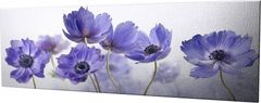 Wallity Obraz na plátně Violet beauty PC028 30x80 cm