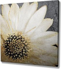 Wallity Obraz na plátně Whispering flower KC165 45x45 cm