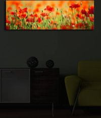 Hanah Home Obraz s led osvětlením Sean 90x30 cm