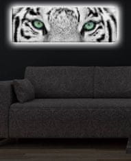 Hanah Home Obraz s led osvětlením White Tiger 90x30 cm