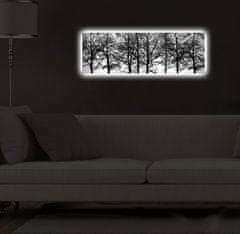 Wallity Obraz s LED osvětlením VĚTVE STROMŮ 72 30 x 90 cm