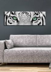 Hanah Home Obraz s led osvětlením White Tiger 90x30 cm