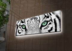 Hanah Home Obraz s led osvětlením White Tiger 90x30 cm