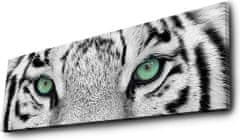 Hanah Home Obraz s led osvětlením White Tiger 90x30 cm