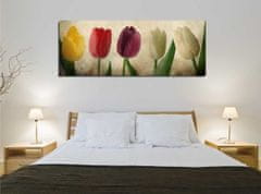 Hanah Home Obraz Tulipány 80x30 cm