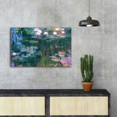 Hanah Home Obraz WATER LILIES od C. MONETA 45x70 cm