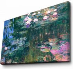 Hanah Home Obraz WATER LILIES od C. MONETA 45x70 cm