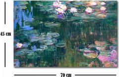 Hanah Home Obraz WATER LILIES od C. MONETA 45x70 cm