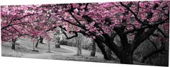 Wallity Obraz na plátně Cherry tree alley PC017 30x80 cm