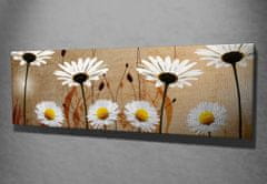 Wallity Obraz na plátně Daisies safari PC042 30x80 cm