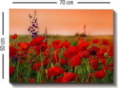 Wallity Obraz na plátně Poppy field 50x70 cm