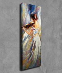 Wallity Obraz na plátně Violin beauty PC206 30x80 cm