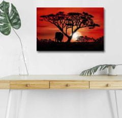 Wallity Obraz s LED osvětlením AFRICKÁ KRÁSA 53 45 x 70 cm